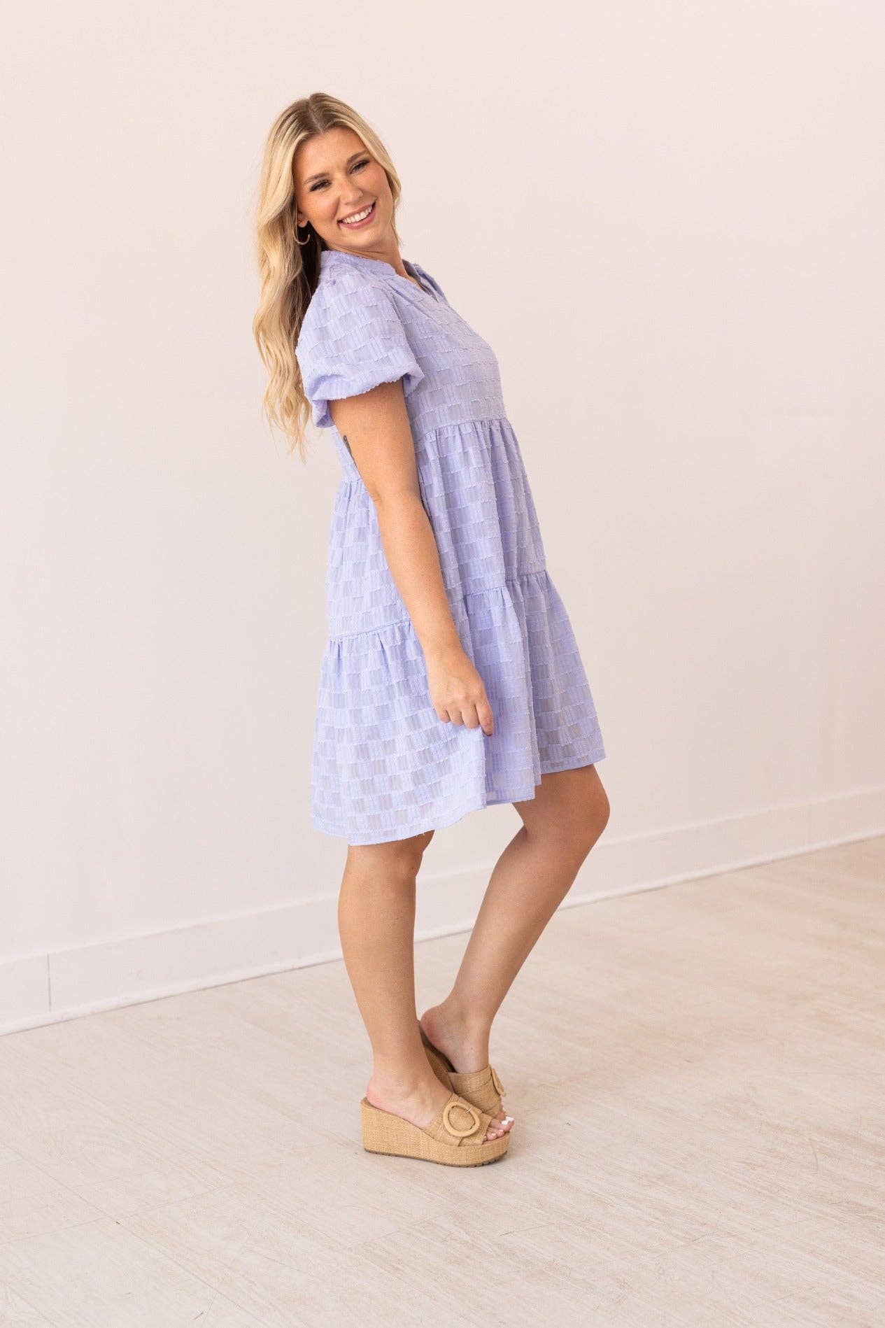 Lilac V-Neck Checkered Dress