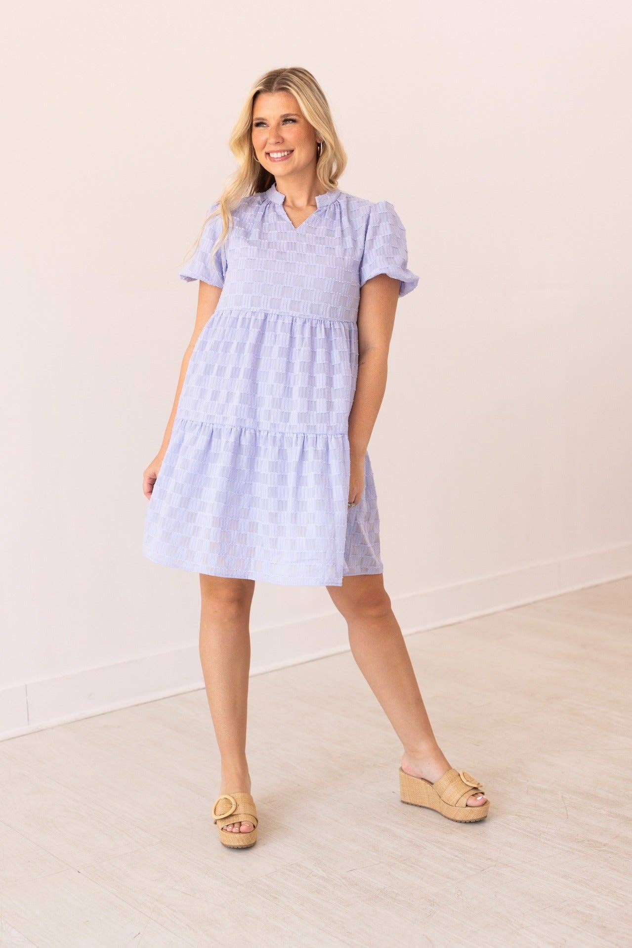 Lilac V-Neck Checkered Dress